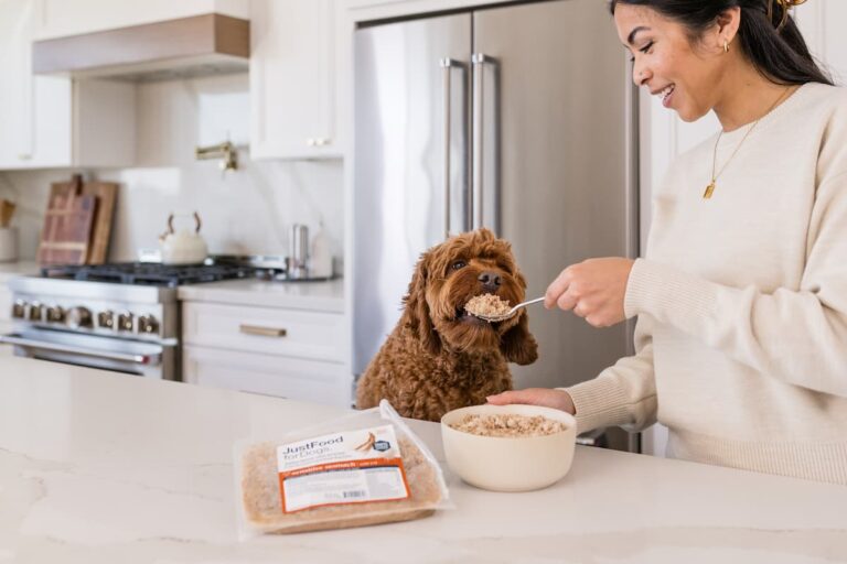 Does Dog Food Expire