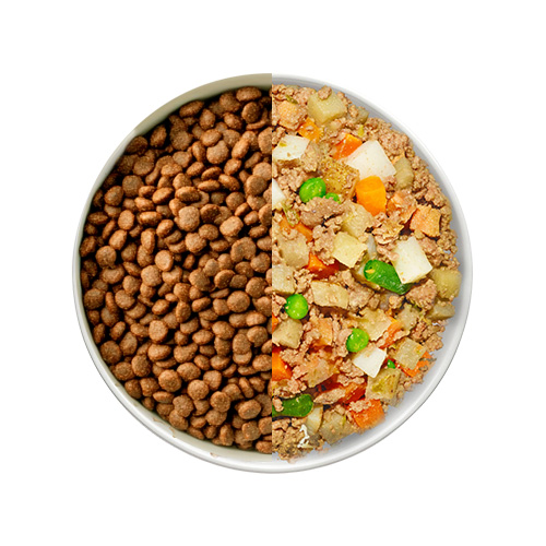 transition dog food 2