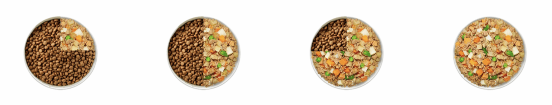 food bowl transition