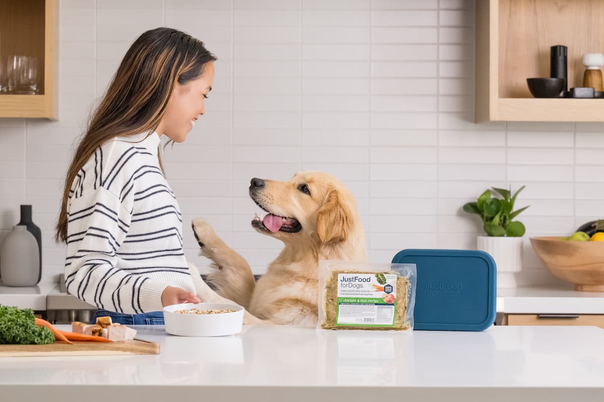 dog and woman in kitchen