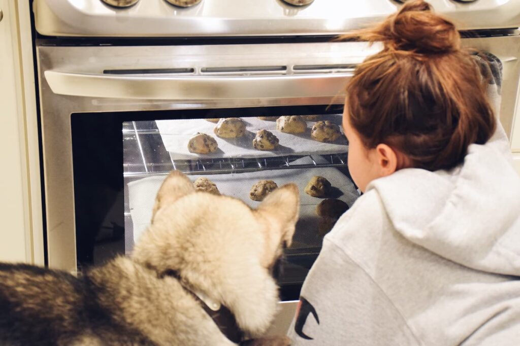 dog and woman watching oven