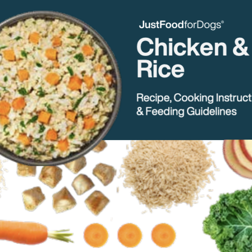 chicken and rice recipe card