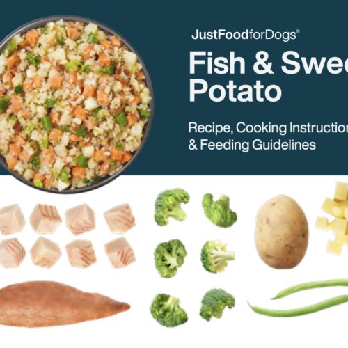 fish crockpot instruction header