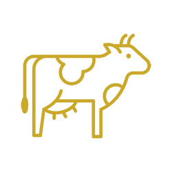 beef icon