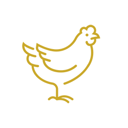 chicken icon