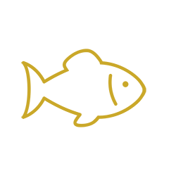 fish icon