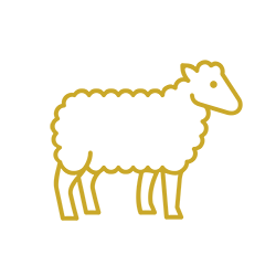 lamb icon