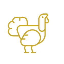 turkey icon