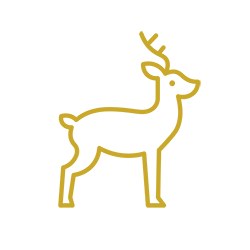 venison icon