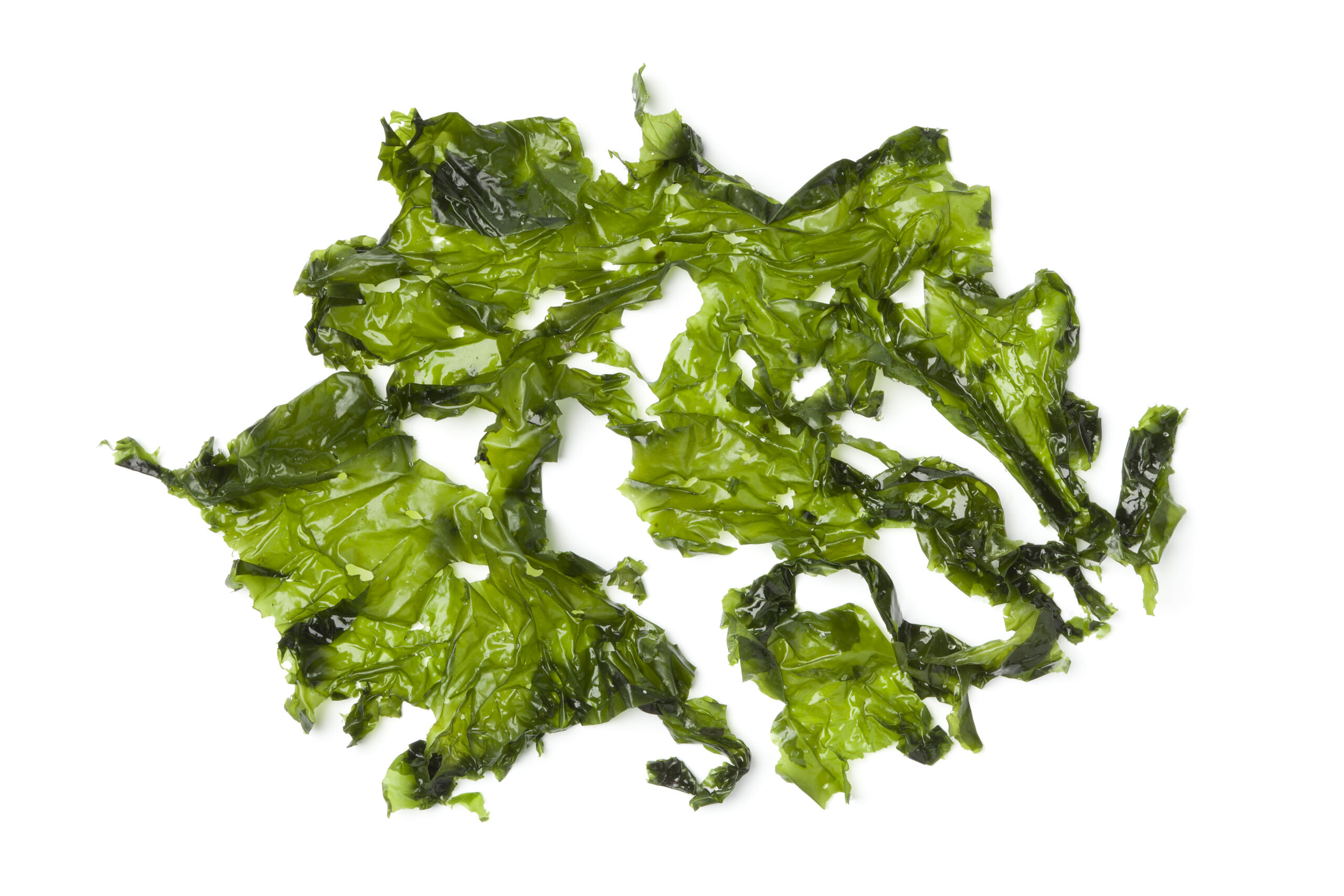 Can Dogs Eat Seaweed? Benefits, Risks, And How To Feed It