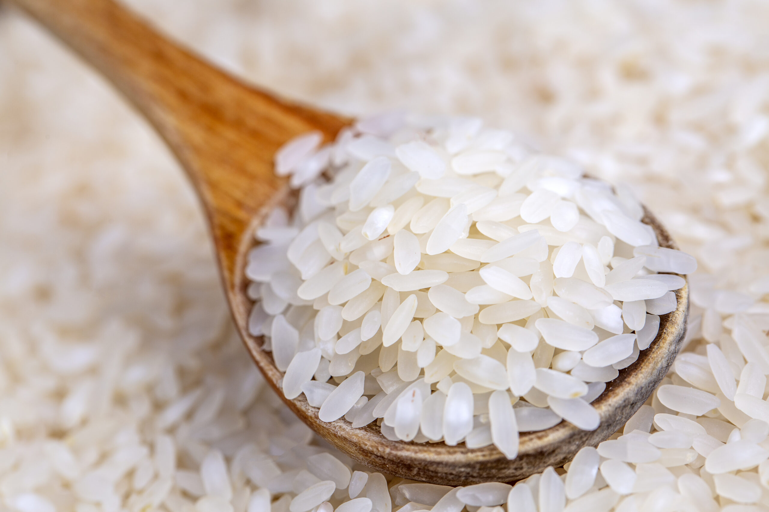 Can Dogs Eat Rice? Benefits, Types And Risks Explained