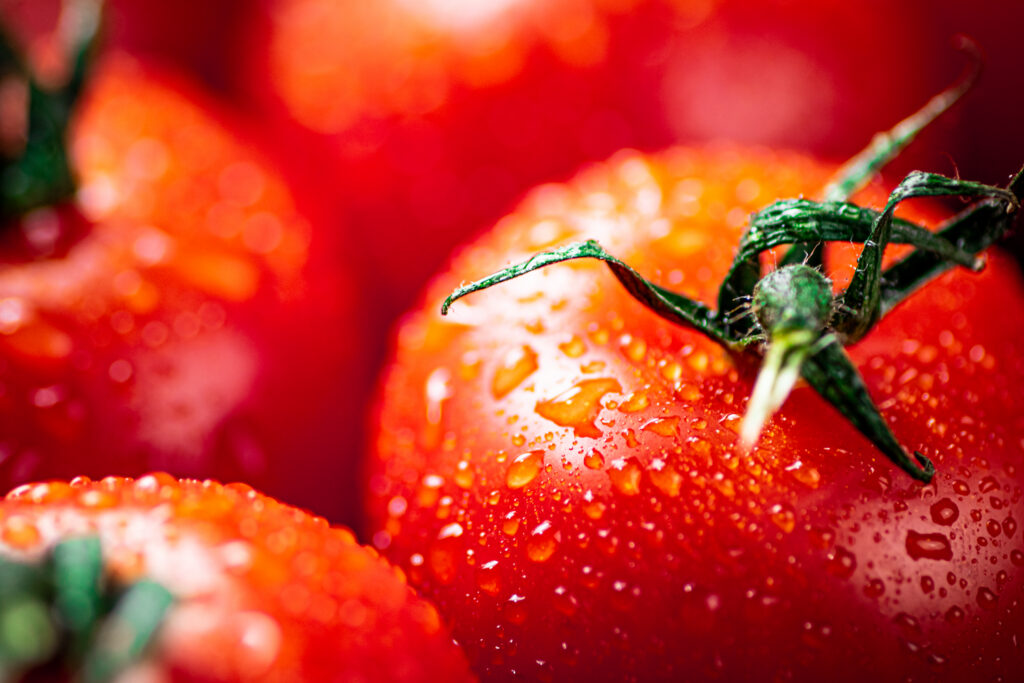 Can Dogs Have Tomatoes? Healthy Benefits and Feeding Tips