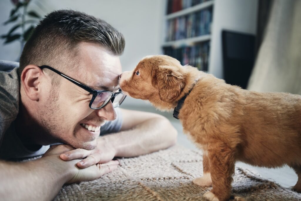 Puppy kisses man