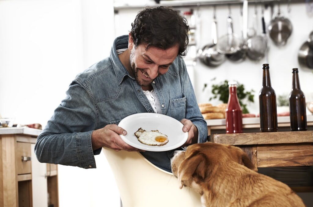 Can dogs eat eggs?