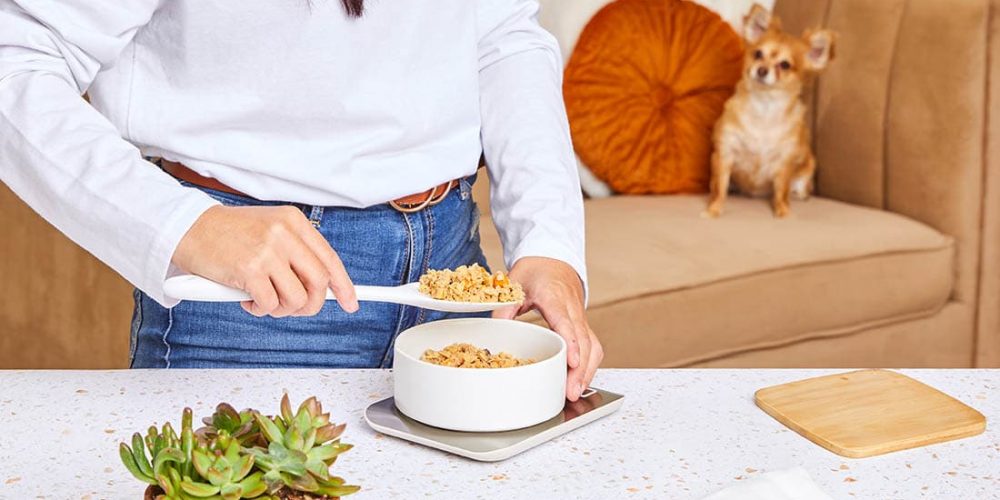 human scooping out dog food portion