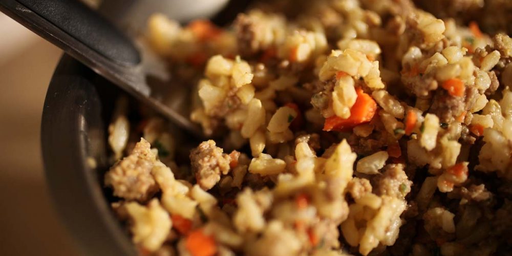homemade dog food with ground beef