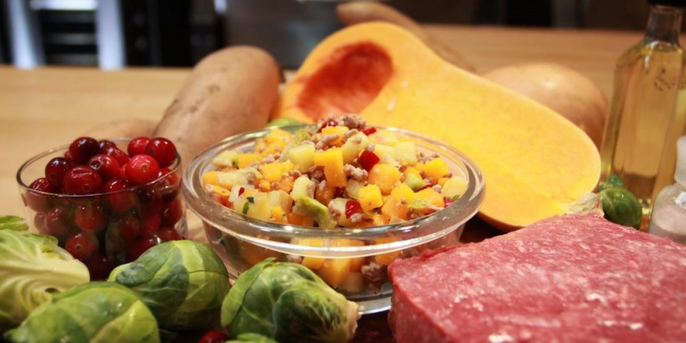 diy homemade venison dog food recipe