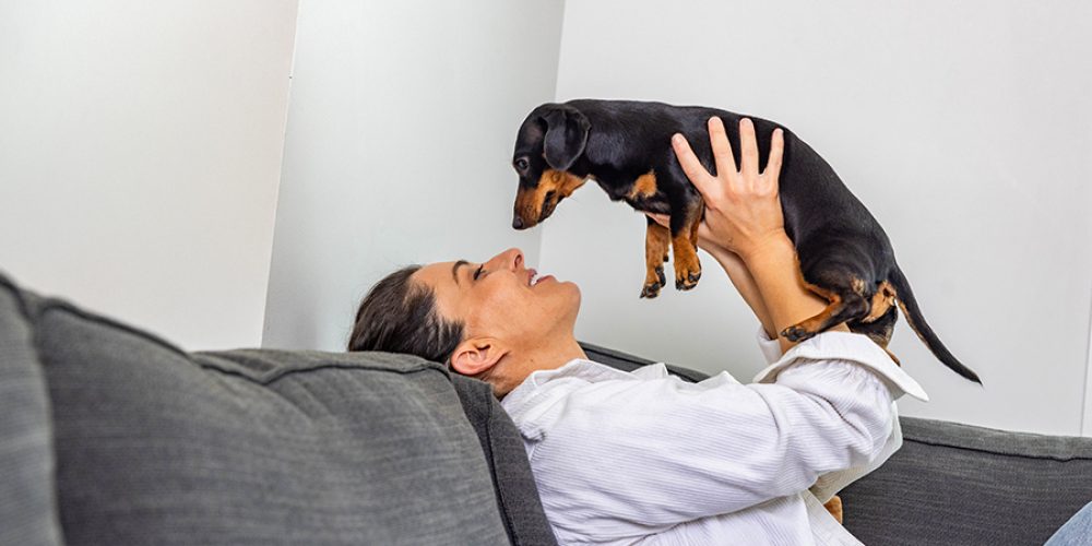 dog lifestyle