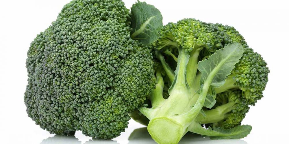broccoli for dogs