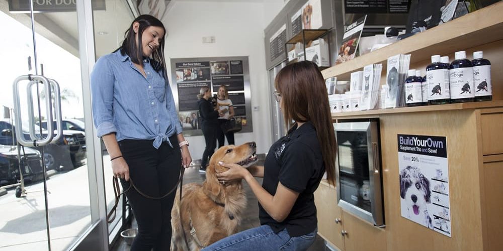 dog consult in jffd store