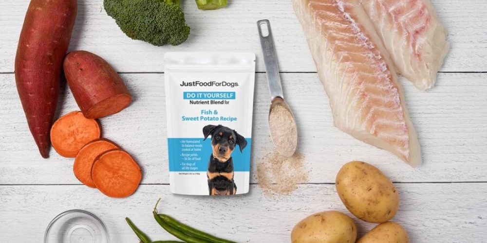 homemade dog food with fish