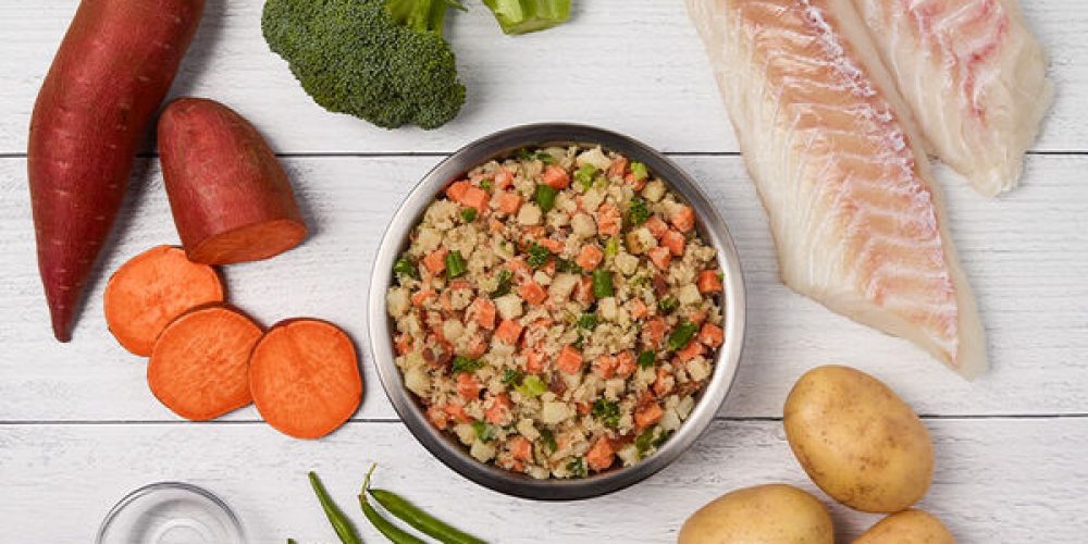 Grain Free Dog Food - Meal