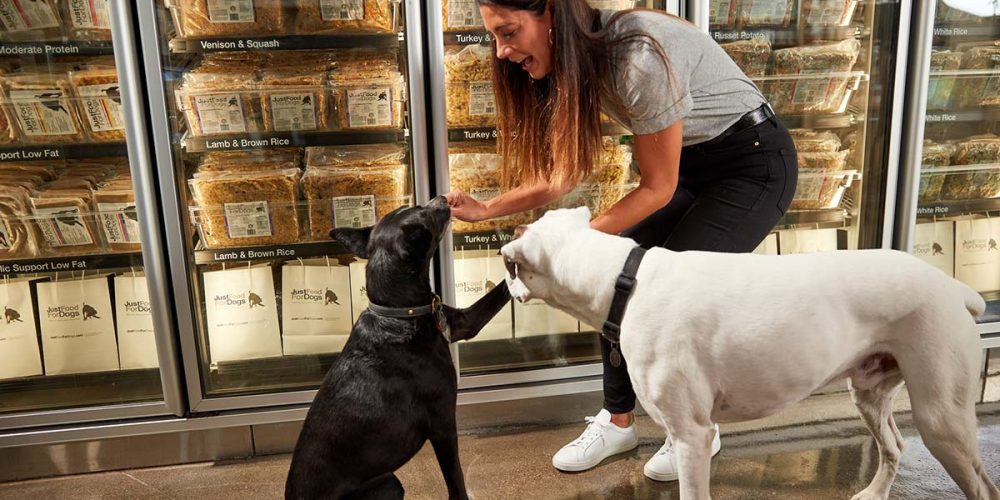 justfoodfordogs chicago store