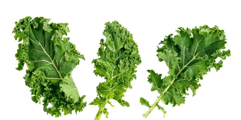 is kale safe for dogs