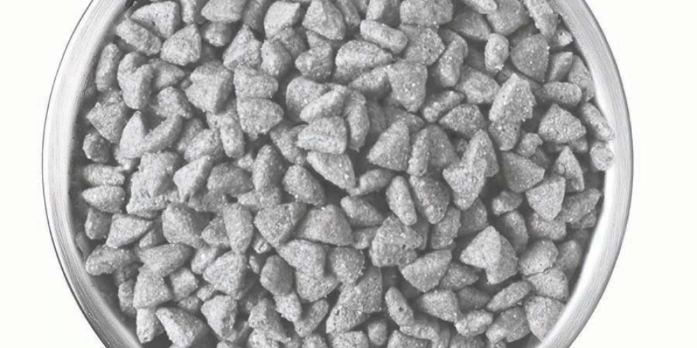 fresh dog food vs kibble. ingredients to avoid in dog food