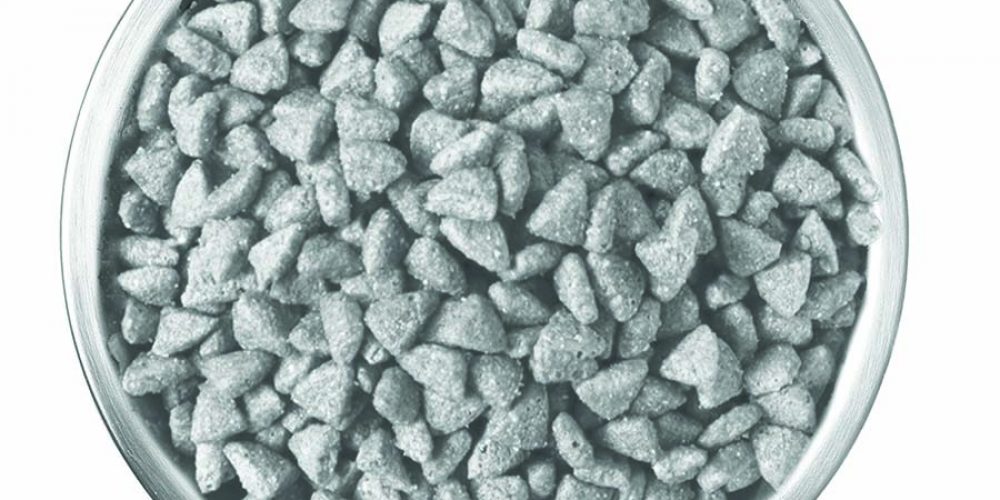 fresh dog food vs kibble