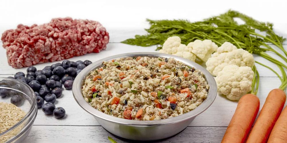 lamb dog food recipe