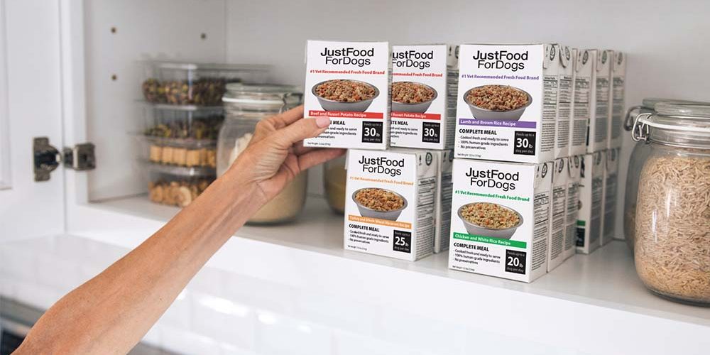 pantry fresh storing bpa free dog food