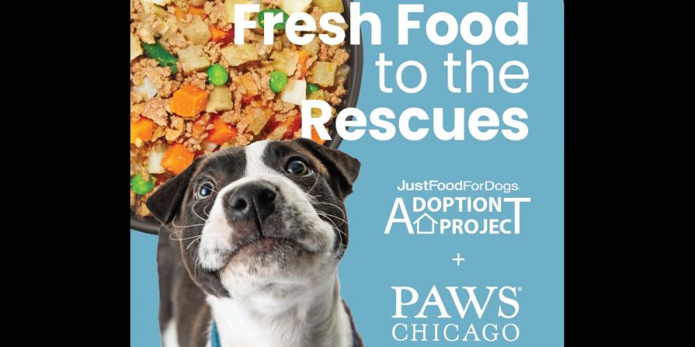 paws partnership announcement