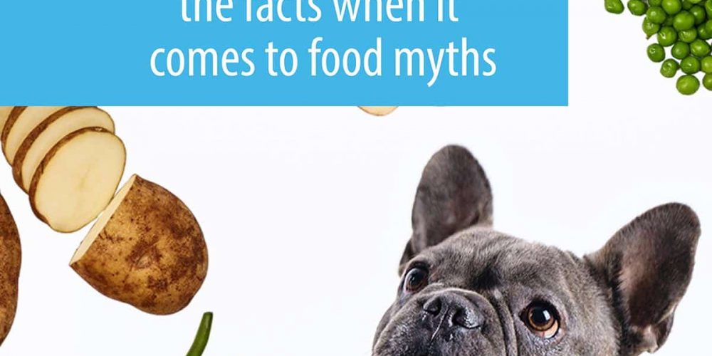dog food myths