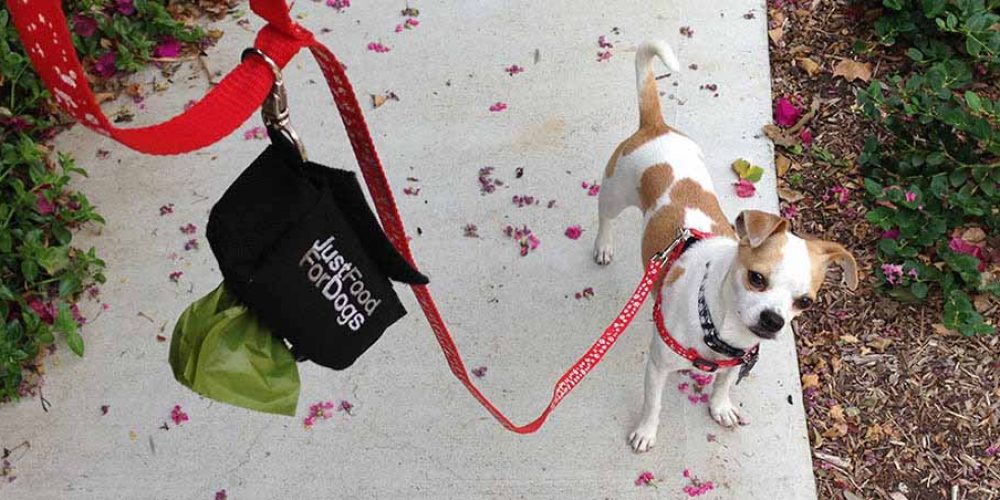 cleaning up dog poop