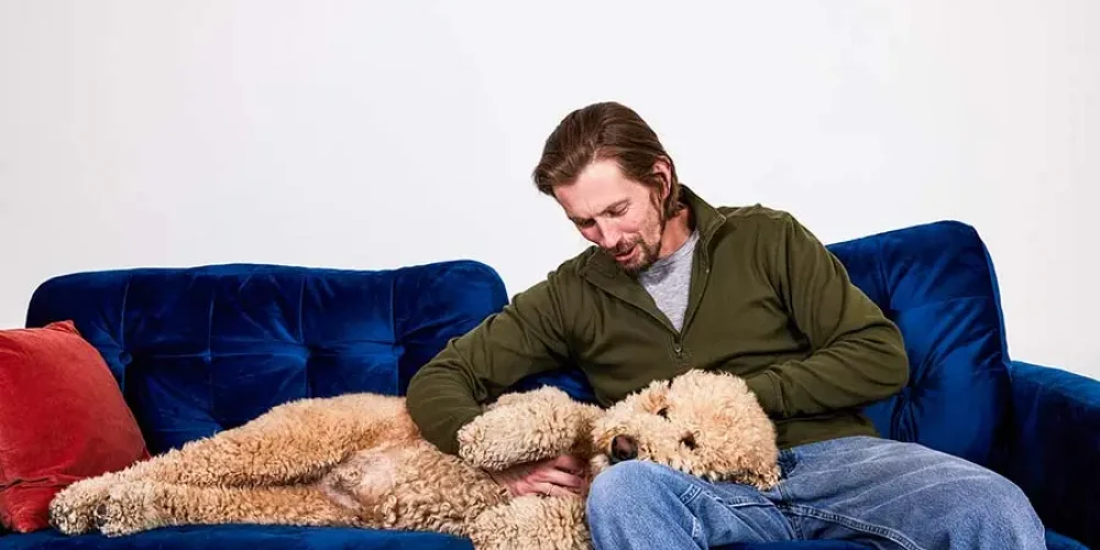 doodle on couch lifestyle