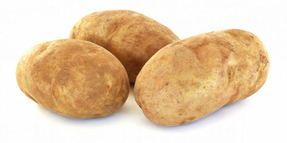 can dogs eat russet potato