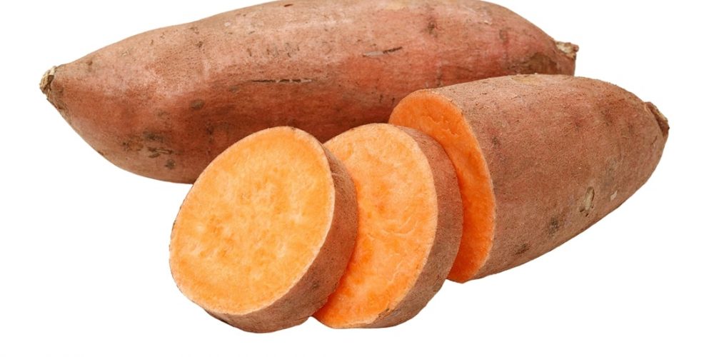 can dogs eat sweet potatoes