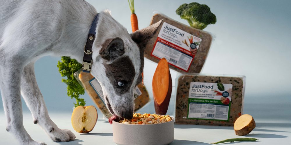 Pet food industry a decade after the Melamine recall of 2007