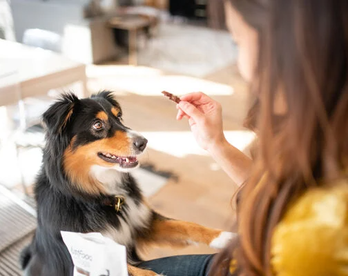 Treats