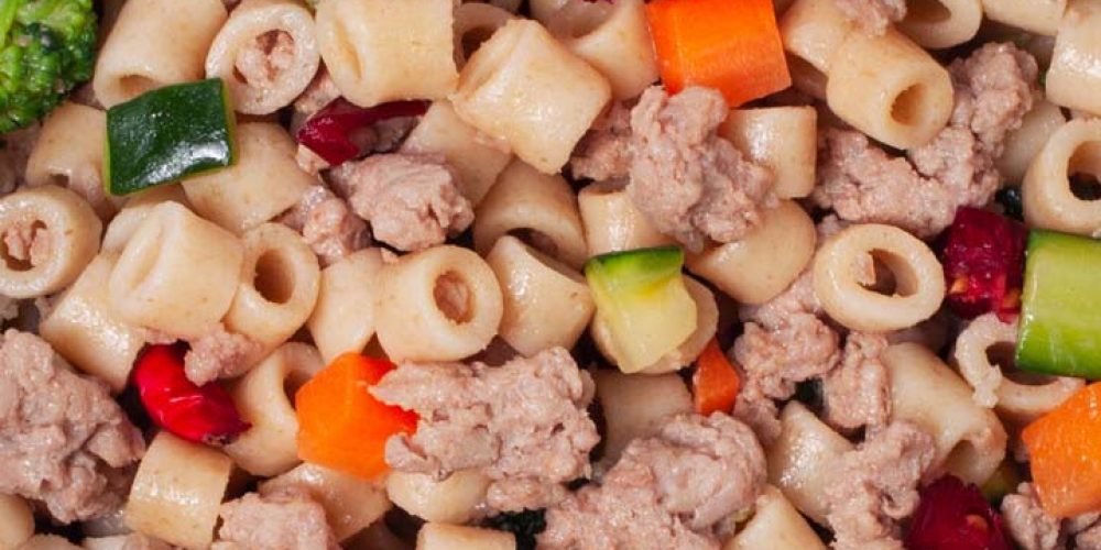 turkey fresh non processed dog food