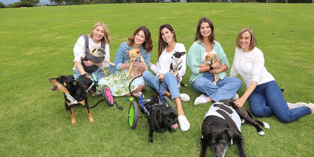 unconditional rescue team