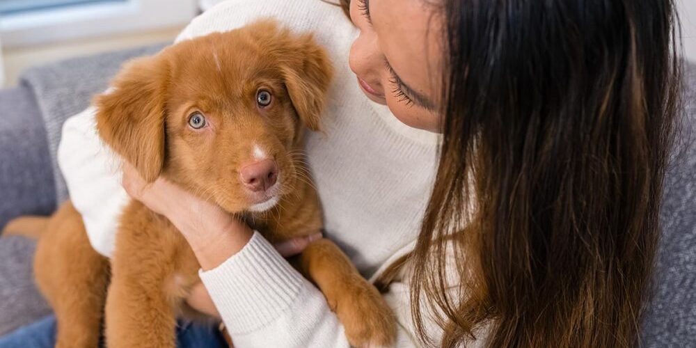 puppy in womans arms