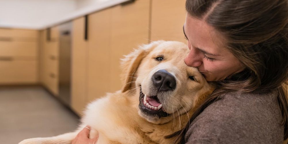 dog being held byhuman