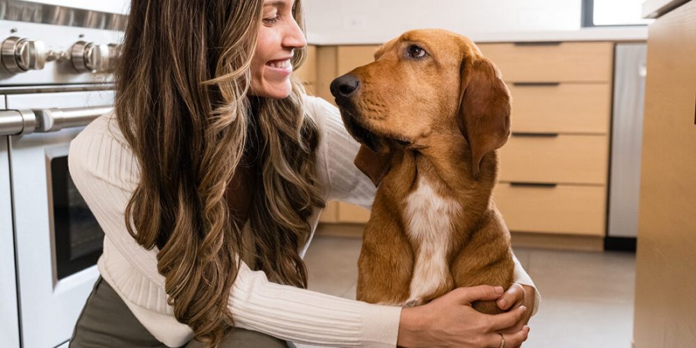 dog looking lovingly at human