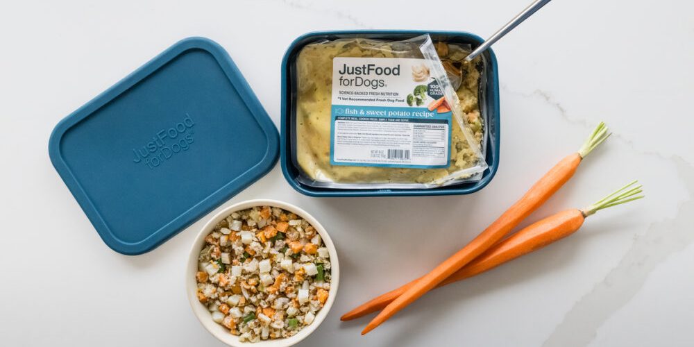 fresh dog food display