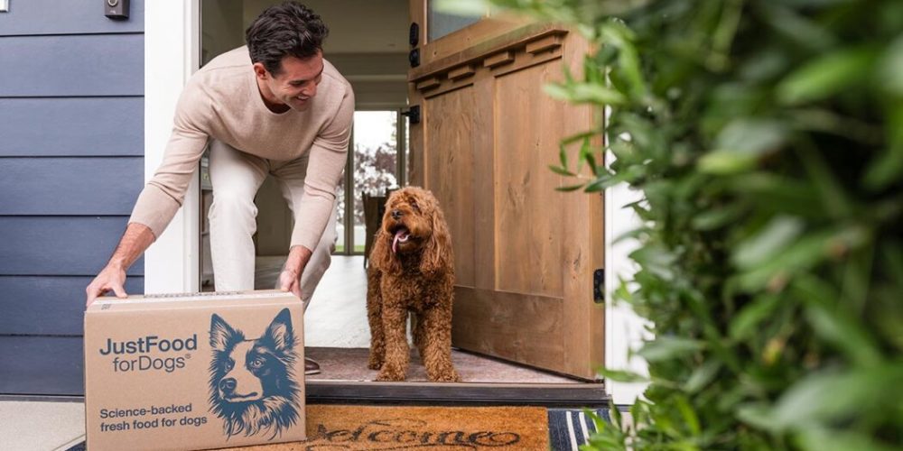 dog food delivery