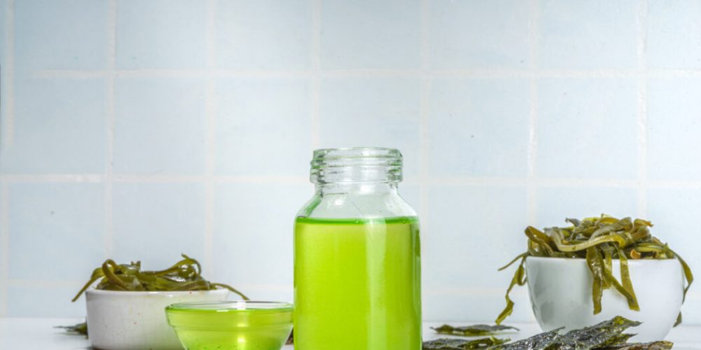 algae oil benefits for dogs