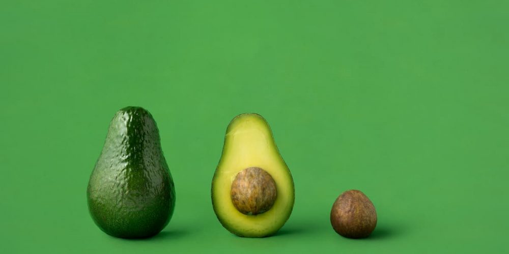 can dogs eat avocado