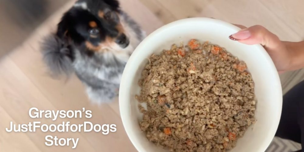 greyson jffd tumbnail